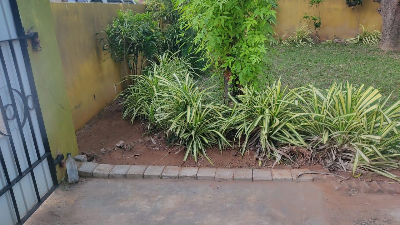 IMG-20250612-WA0049